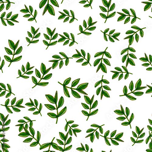 Seamless hand drawn pattern with green basil grass. Marker   Watercolor illustration. 