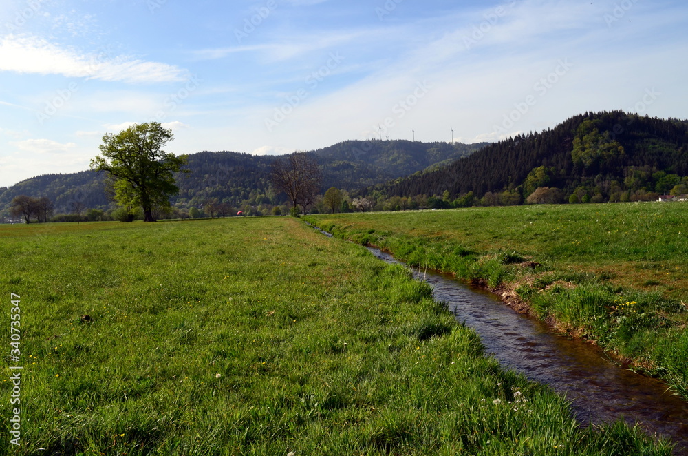 Grüne Wiesen im Dreisamtal bei Freiburg