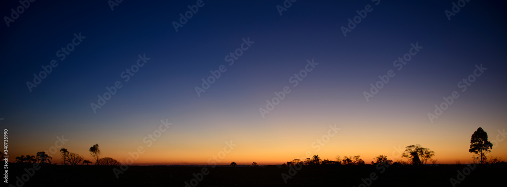 Fototapeta premium sunset in the field