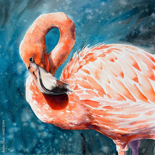 z-egzotycznym-flamingiem