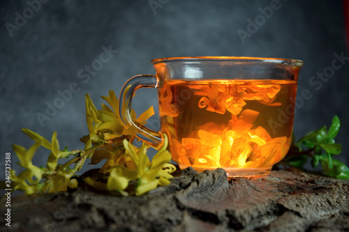 Forsythia flower tea bio organic natural