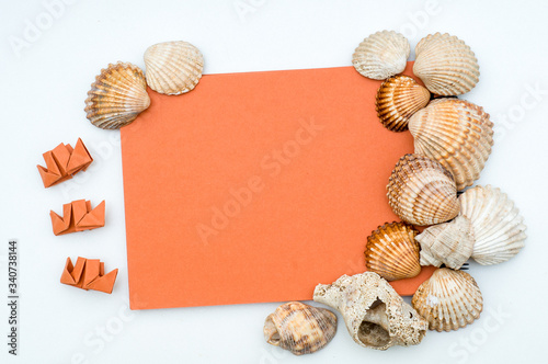 Seashells, origami and orange notepad on white background. Colorful flat lay design. Decorations. Colorful background. Objects on wooden table. Copy space concept 