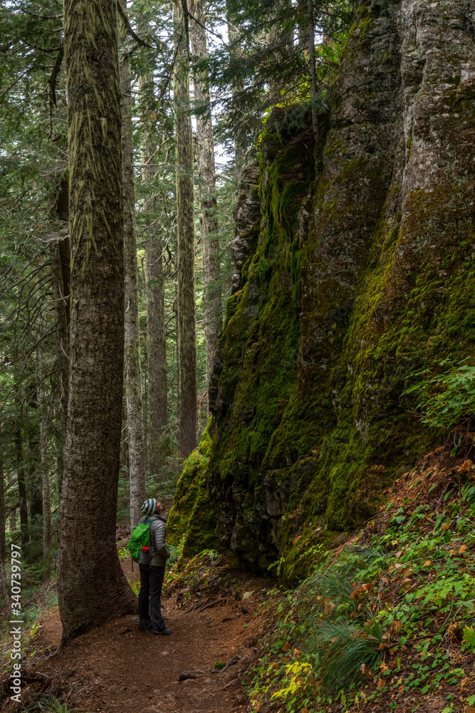 Fototapeta premium Woman Stands Below Large Mossy Wall