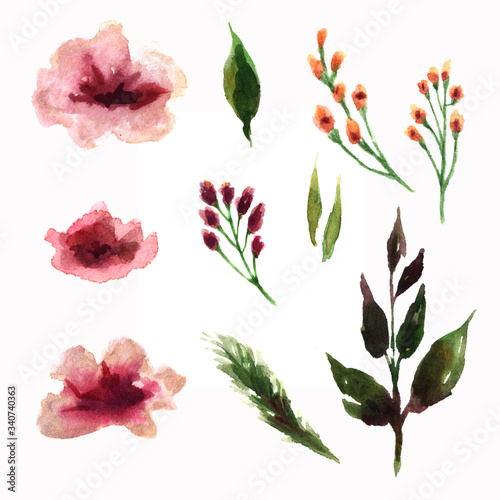 illustration of flowers in watercolor