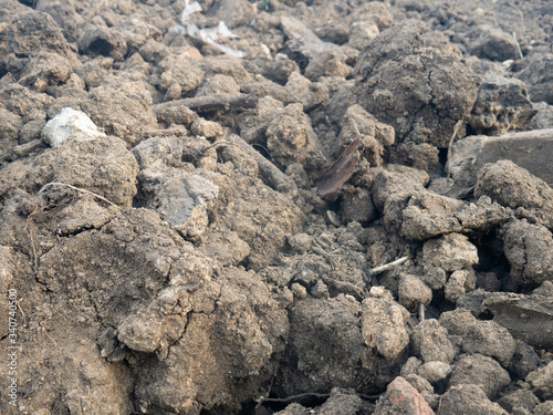 Dry Dirt/Ground © Николай ХХХ