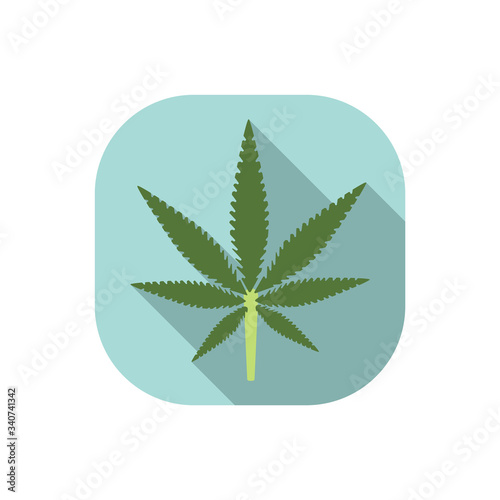 cannabis weed leaf vector flat design