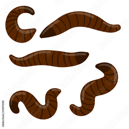 Leech. Set of bloodsucking insects. Red dangerous worms. Nasty slimy animals of rivers and lakes. Cartoon flat illustration isolated on whiite