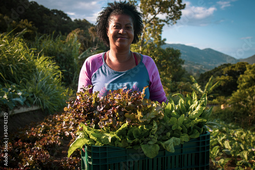 Portrait of proud organic farmer woman from a quilombola community harvesting vegetables.