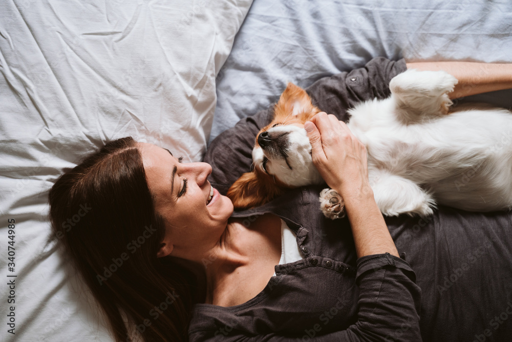 young woman and dog at home resting on bed. Love, togetherness and pets indoors young woman and dog at home resting on bed. Love, togetherness and pets indoors