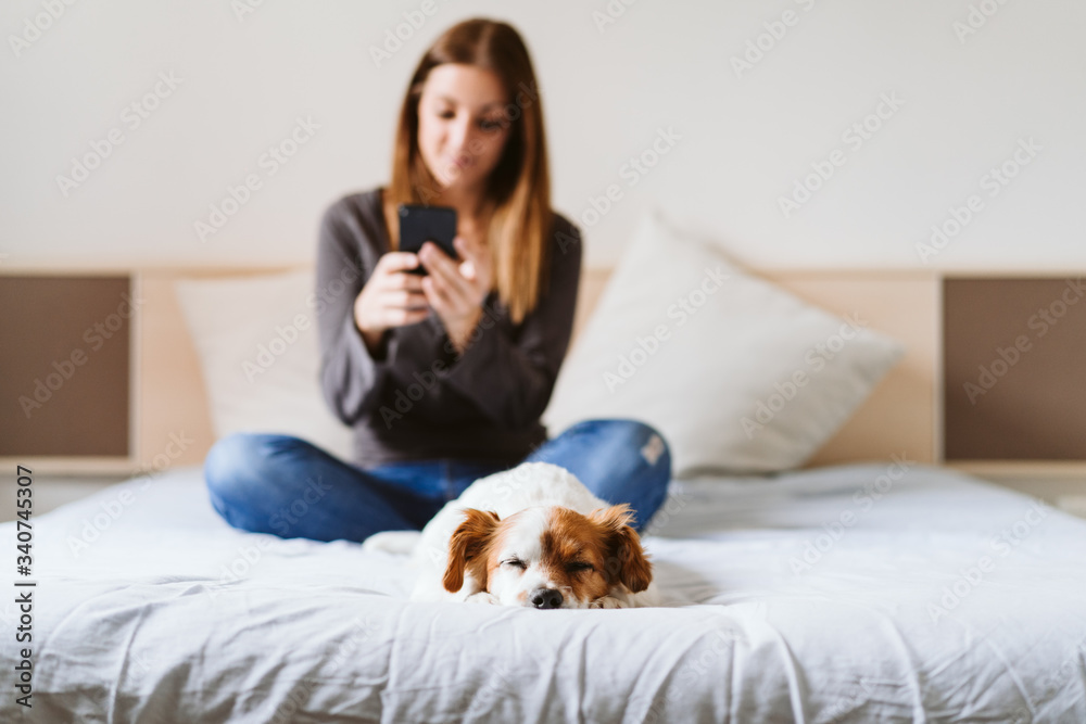 young woman using mobile phone at home, cute small dog sleeping besides. Work from home concept young woman using mobile phone at home, cute small dog sleeping besides. Work from home concept