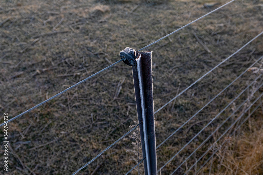 A Frozen Electric Fence Post
