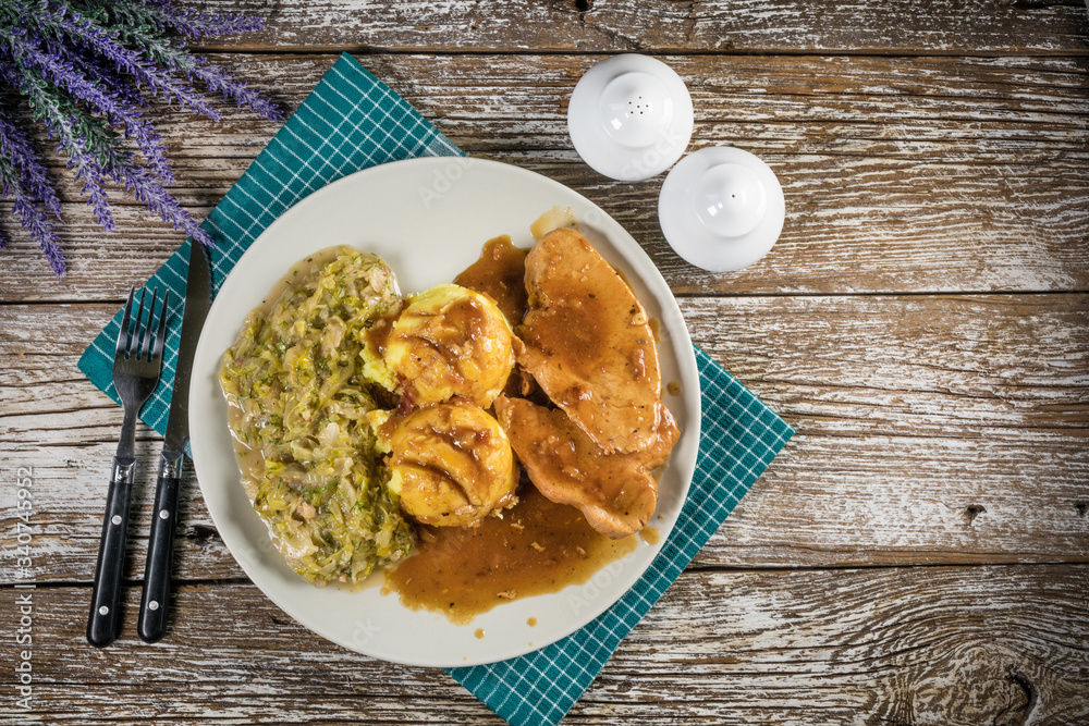 Stewed turkey meat in gravy. Stewed turkey meat in gravy.