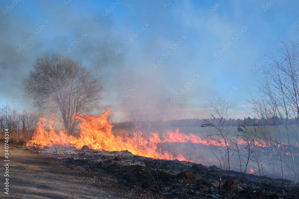 Fire. Burning last year's dry grass with plenty of smoke could turn into a tragedy.