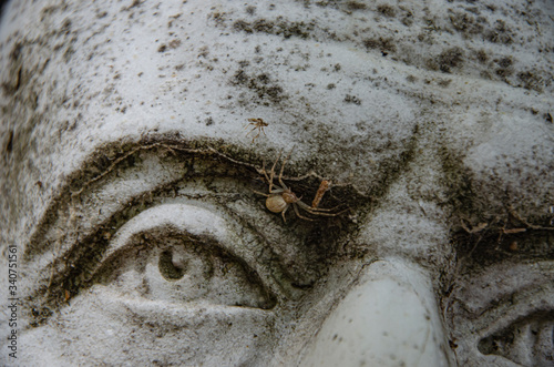  spider on the eye of the monument