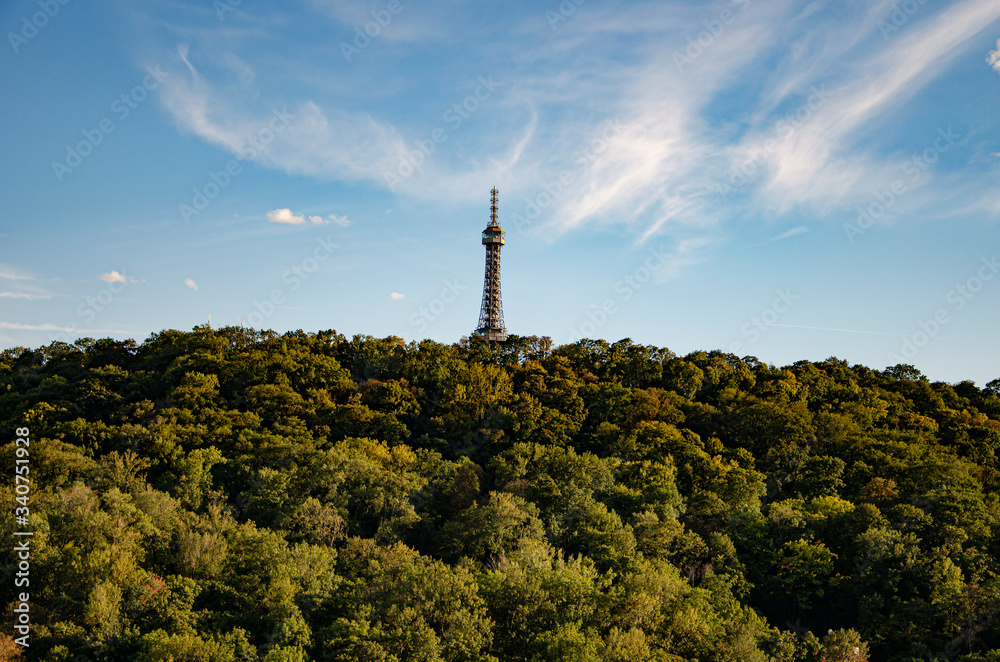 Fototapeta premium tower in the park