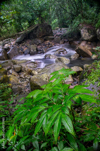 the beautiful scenic waterfall in front of famous double decker root bridge in meghalaya