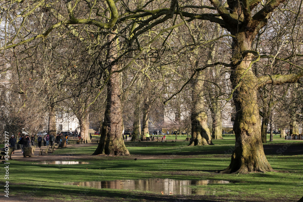 Un paseo por Sant James's Park en Londres