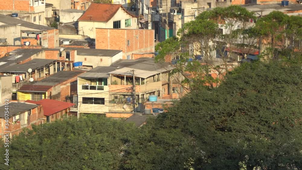 favela ao fundo com árvores balançando ao vento favela ao fundo com árvores balançando ao vento