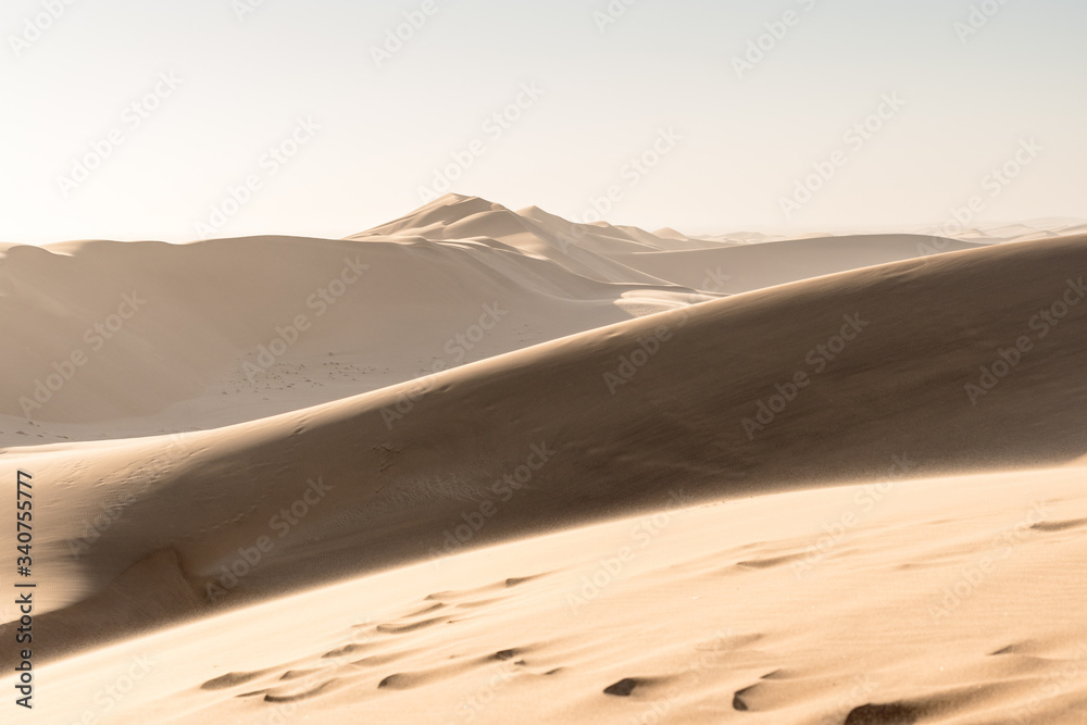 Desert of namibia and dune 7 in a hot day