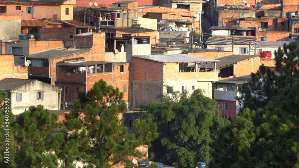 favela ao fundo com árvores balançando ao vento favela ao fundo com árvores balançando ao vento