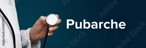 Pubarche. Arzt im Kittel hält Stethoskop. Das Wort Pubarche steht daneben. Symbol für Medizin, Krankheit, Gesundheit photo
