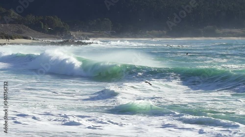 Pacific Ocean waves roll in and crash on the shore