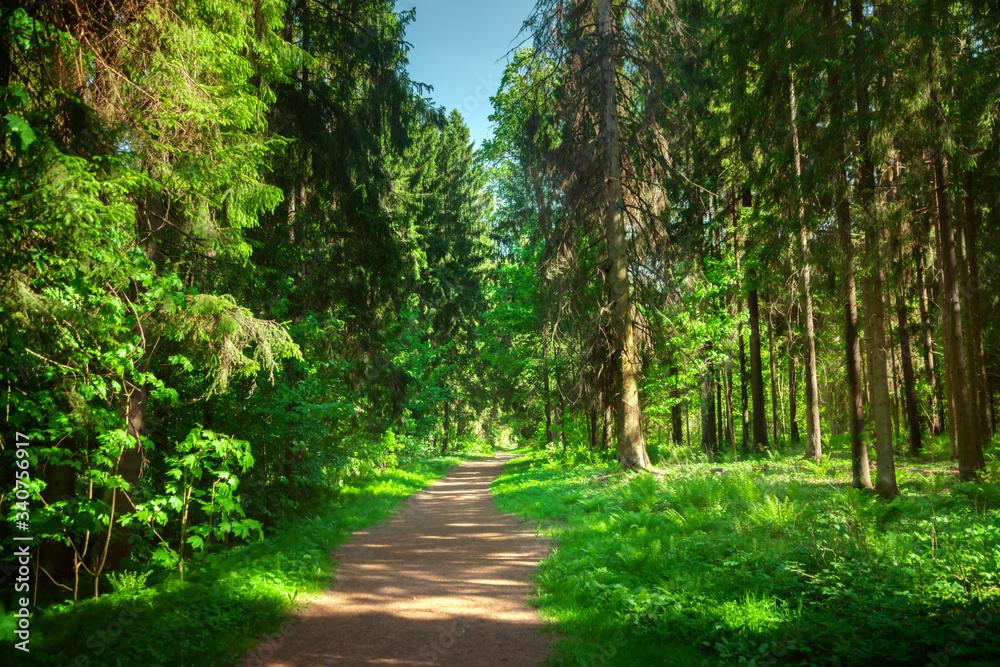 Fototapeta premium Krajobraz