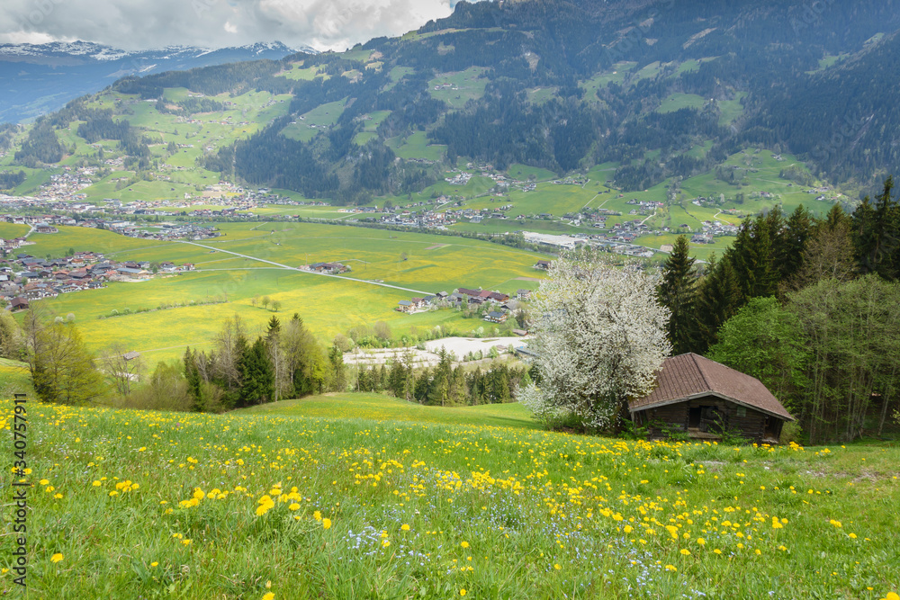 Obraz premium Blick ins frühlingshafte Zillertal in Tirol