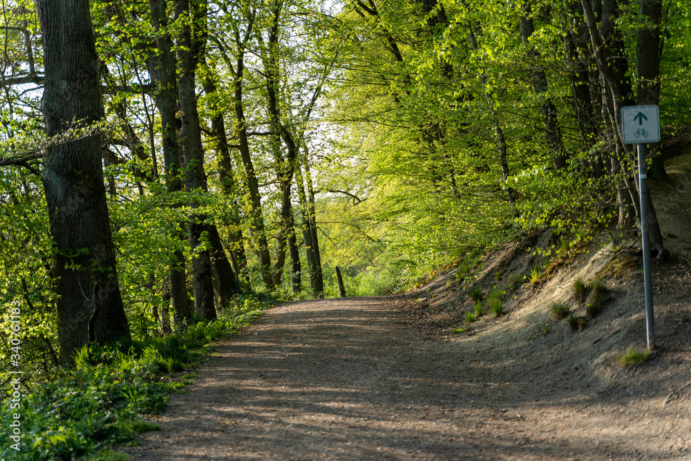 Obraz premium Walderlebnis