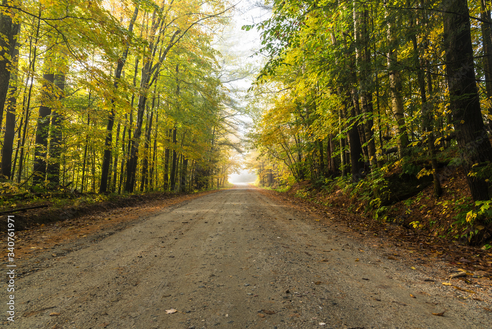 Deserted unpaved road through a beautiful deciduous forest shrouded in morning fog in autumn. Waterbury, VT, USA. Deserted unpaved road through a beautiful deciduous forest shrouded in morning fog in autumn. Waterbury, VT, USA.
