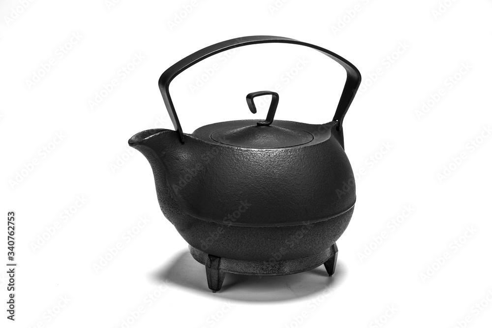 Japanese cast iron pot