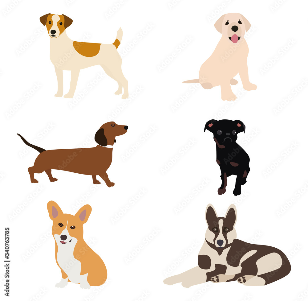 Vector illustration. Dogs of different breeds are depicted on the canvas, for example, a shepherd, a dachshund, a corgi, a jack russell, a labrador. Milky colors, doggie cute smile