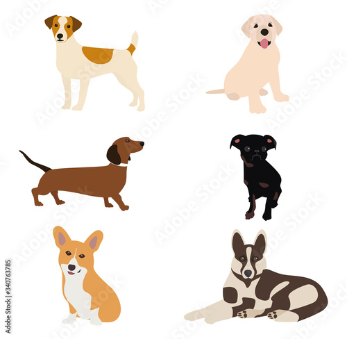 Vector illustration. Dogs of different breeds are depicted on the canvas  for example  a shepherd  a dachshund  a corgi  a jack russell  a labrador. Milky colors  doggie cute smile
