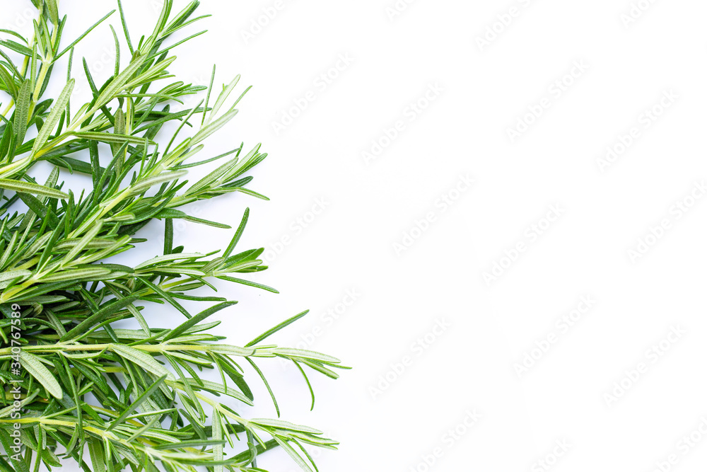 Fototapeta premium Rosemary isolated on white background.