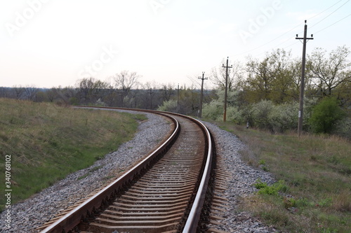 railroad tracks in the forest