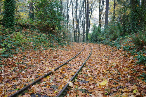 autumn railroad