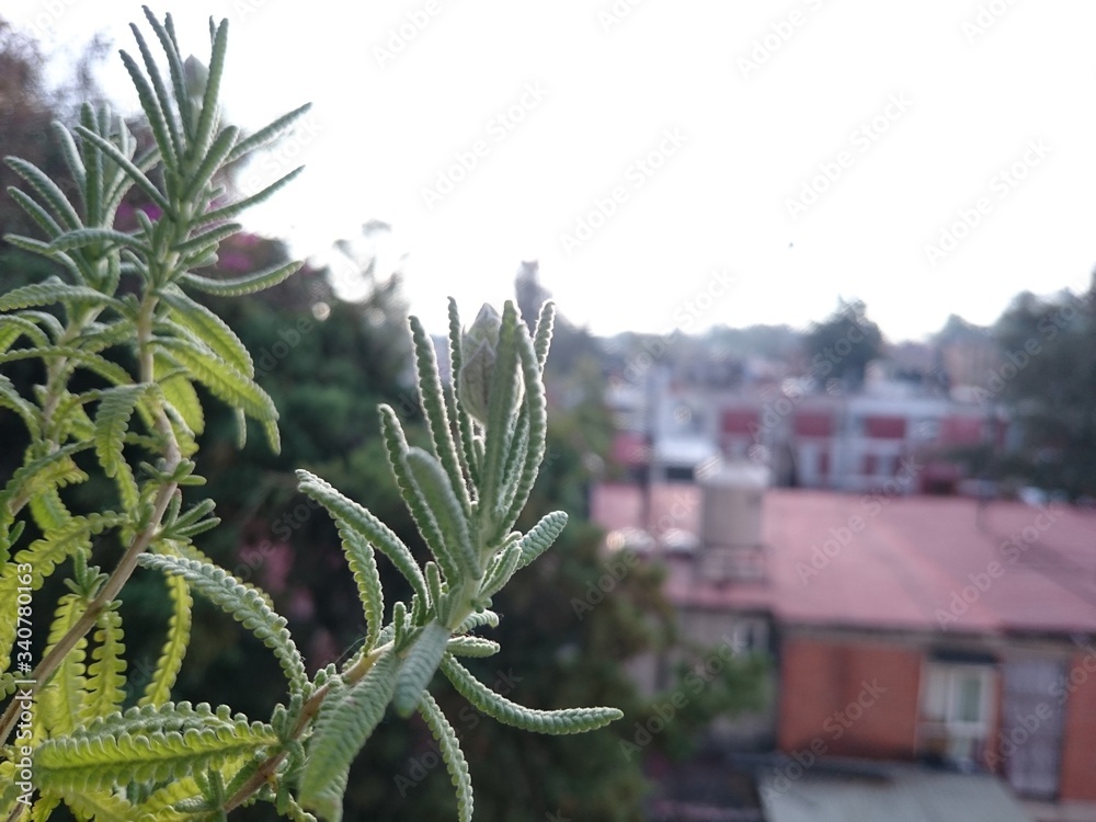 Fototapeta premium Foto con móvil