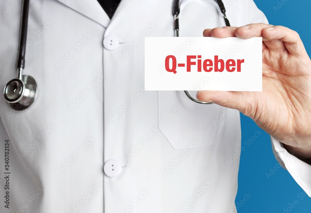 Q-Fieber. Arzt im Kittel hält Visitenkarte hoch. Der Begriff Q-Fieber steht im Schild. Symbol für Krankheit, Gesundheit, Medizin Q-Fieber. Arzt im Kittel hält Visitenkarte hoch. Der Begriff Q-Fieber steht im Schild. Symbol für Krankheit, Gesundheit, Medizin