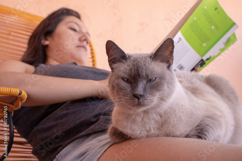 Gato con mujer mientras lee