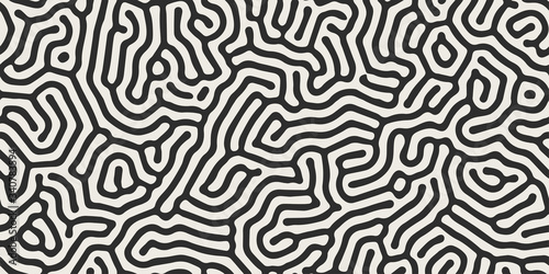 Vector seamless black and white organic rounded maze lines pattern. Abstract background in biological style