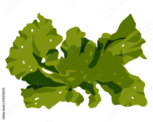 This is a green algae in the sea.