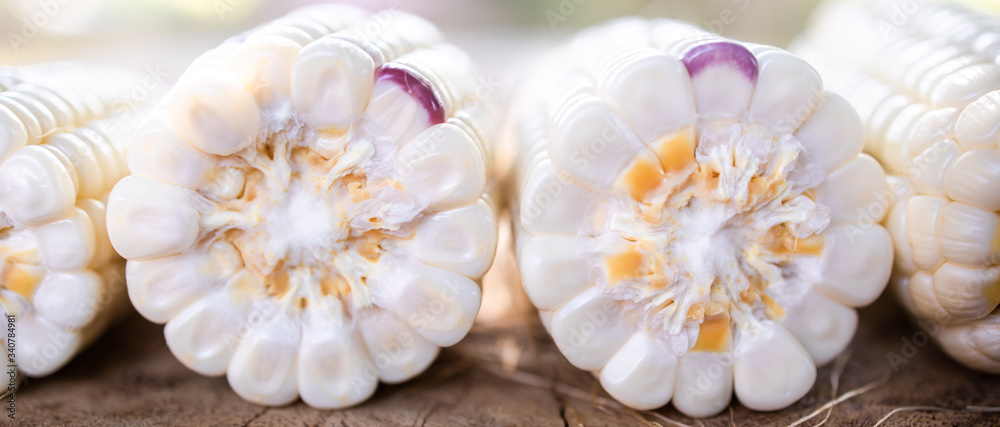 white corn on wood table from nature. maize are selective focus.