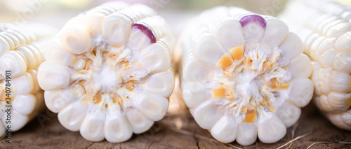white corn on wood table from nature. maize are selective focus.