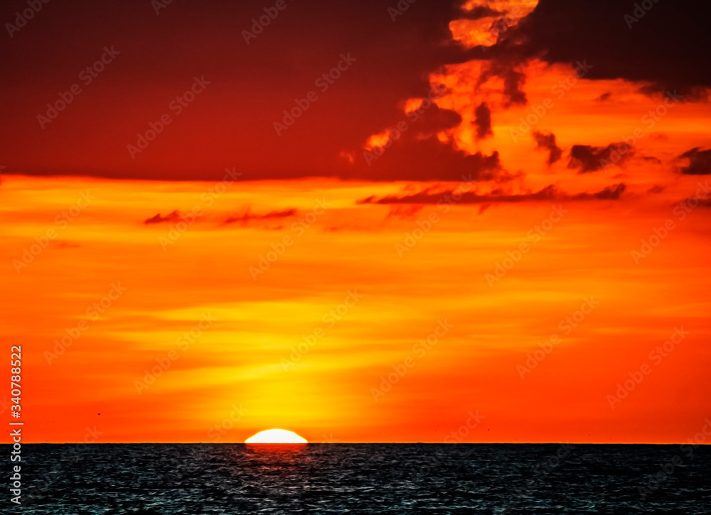 sunset with bird, sea, sun, sky, ocean, beach, orange, red, bird, dusk, summer