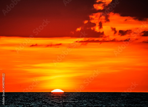 Fototapeta Naklejka Na Ścianę i Meble -  sunset with bird, sea, sun, sky, ocean, beach, orange, red, bird, dusk, summer