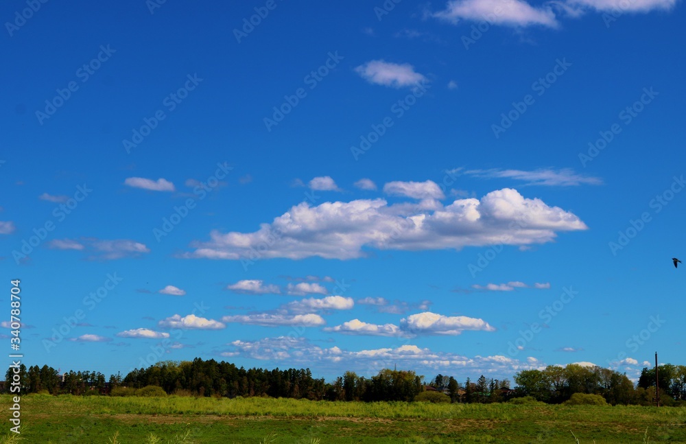 春　渡良瀬　爽やか　風景　杤木