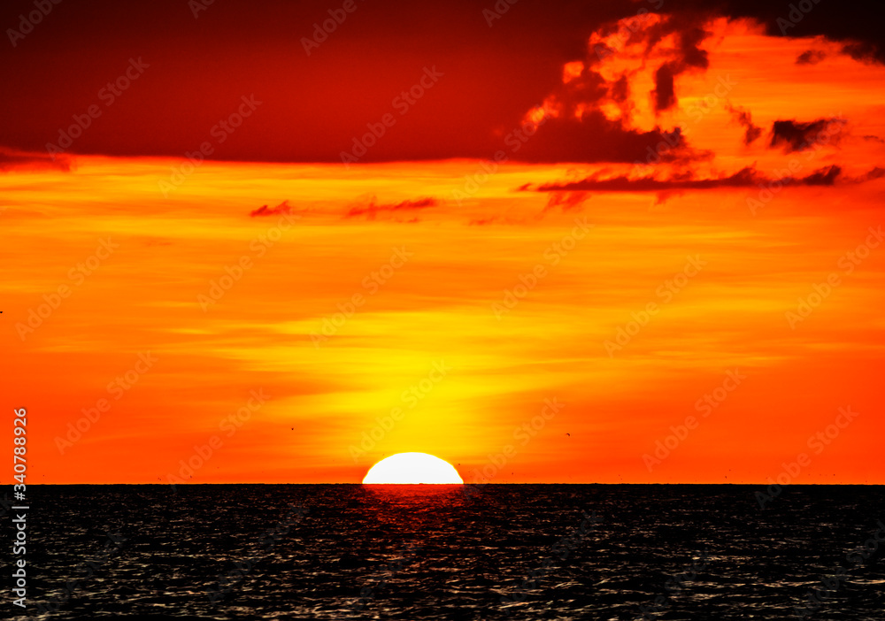 sunset with bird, sun, sea, sky, ocean, red, orange, horizon, dusk, golden, summer, yellow, beautiful