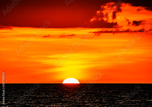 Fototapeta Naklejka Na Ścianę i Meble -  sunset with bird, sun, sea, sky, ocean, red, orange, horizon, dusk, golden, summer, yellow, beautiful