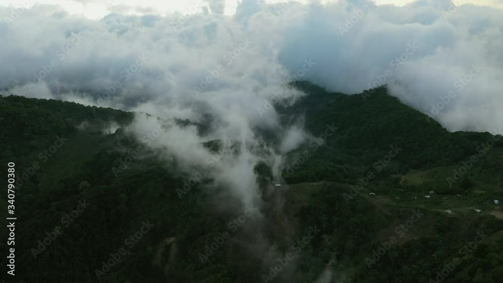 Aerial: Clouds sunset and trees Aerial: Clouds sunset and trees