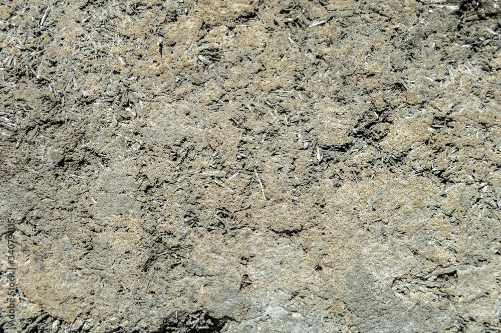 Uneven texture of sawdust with concrete Uneven texture of sawdust with concrete